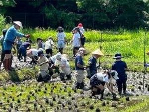 地域と一緒に実施する田んぼの授業